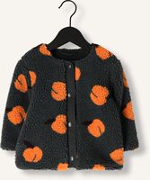 Z8 RIU Z8 RIU - medium