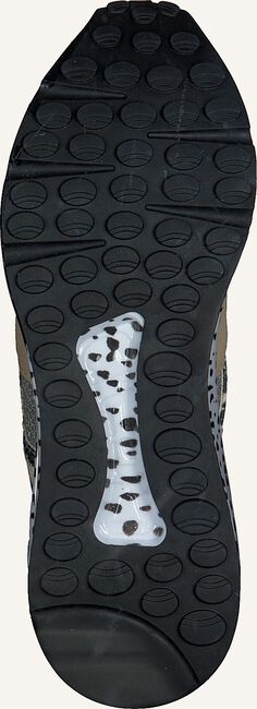 Beige STEVE MADDEN Lage sneakers CLIFF SNEAKER Beige STEVE MADDEN Lage sneakers CLIFF SNEAKER - large