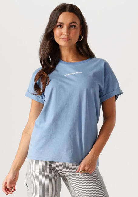 Lichtblauwe COLOURFUL REBEL T-shirt UNI LOGO BOXY TEE - large