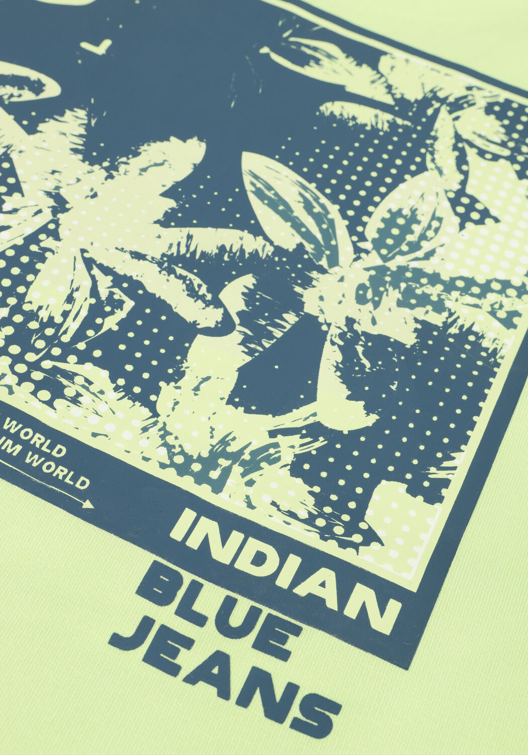 INDIAN BLUE JEANS Jongens Truien & Vesten Sweater Pique Indian Backprint Lime