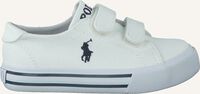 Witte POLO RALPH LAUREN Lage sneakers SLATER - medium