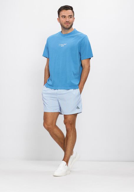 Lichtblauwe CALVIN KLEIN T-shirt SS 20S ACID WASH GRAPHIC CREWNK - large