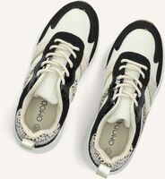 Beige OMODA Lage sneakers ZOË Beige OMODA Lage sneakers ZOË - medium