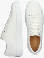 Witte BLACKSTONE Lage sneakers MAYNARD - medium