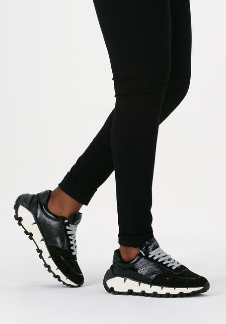 Zwarte P448 Lage sneakers JACKSON DAMES - large