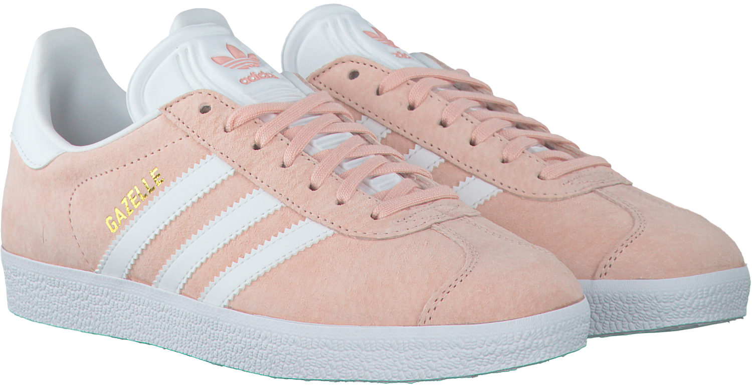 superstar gazelle rose