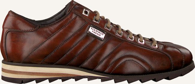 Cognac HARRIS Lage sneakers 5339 Cognac HARRIS Lage sneakers 5339 - large