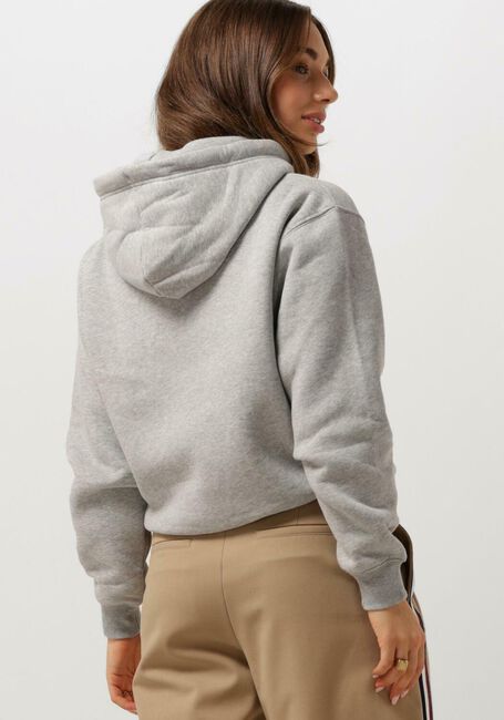Lichtgrijze TOMMY HILFIGER Sweater REG VARSITY FLOCK HOODIE - large