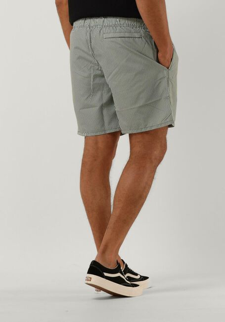 Groene SHIWI Zwembroeken MEN SWIMSHORT SKINNY STRIPE - large