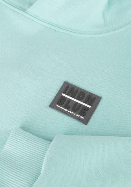 Groene INDIAN BLUE JEANS Sweater HOODIE INDIAN BRUSHED Groene INDIAN BLUE JEANS Sweater HOODIE INDIAN BRUSHED - large