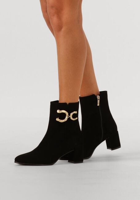 NOTRE-V 8558 - large