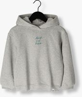 Grijze ALIX MINI Sweater KNITTED HOODED SWEATER - medium