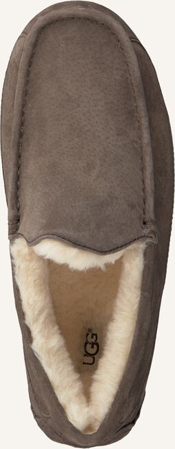 Taupe UGG Pantoffels ASCOT Taupe UGG Pantoffels ASCOT - large
