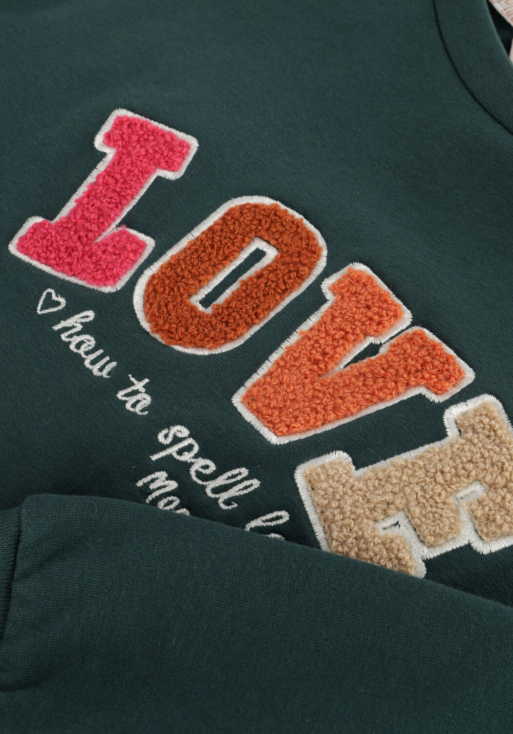 MOODSTREET Meisjes Truien & Vesten Sweater Sofie Donkergroen