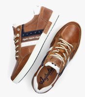 Bruine AUSTRALIAN NOTTINGHAM Lage sneakers - medium