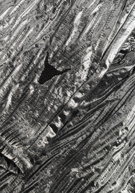 Zilveren ALIX MINI Korte broek SILVER SHORTS - large