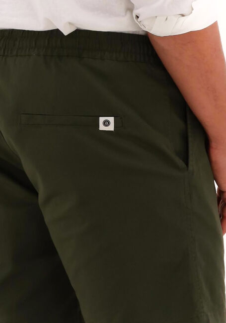 Donkergroene ANERKJENDT Korte broek AKLT JIMMY SHORTS - large