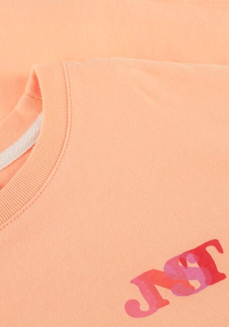 Perzik JENEST T-shirt LIVIA TSHIRT - large