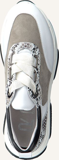 Witte ROBERTO D'ANGELO Lage sneakers 705 Witte ROBERTO D'ANGELO Lage sneakers 705 - large