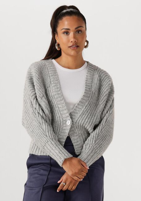 Grijze NUKUS Trui JOLIJN CARDIGAN - large