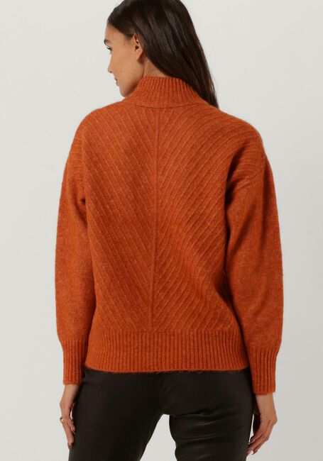 Roest SELECTED FEMME Coltrui SIF SISSE LS KNIT HIGHNECK - large