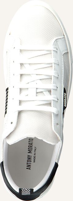 Witte ANTONY MORATO Lage sneakers MMFW01253 Witte ANTONY MORATO Lage sneakers MMFW01253 - large