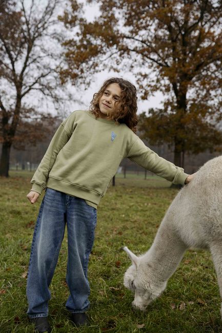 Groene AMMEHOELA Sweater ROCKY - large