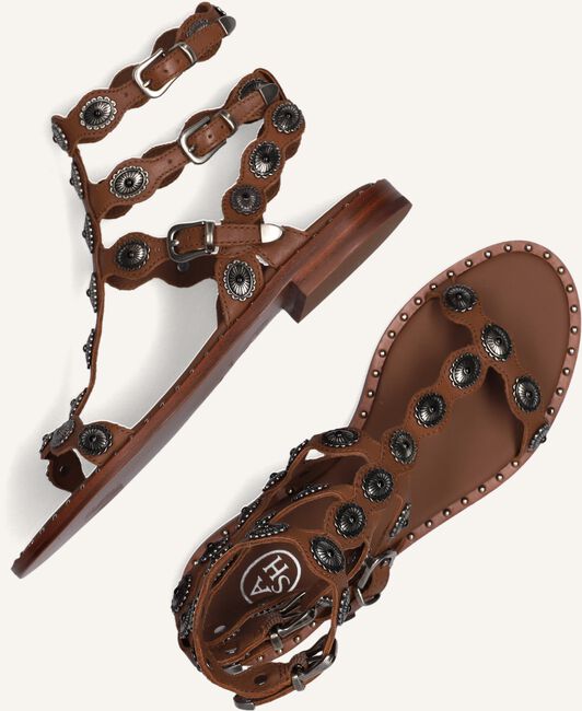 Cognac ASH Platte sandalen PHOENIX Cognac ASH Platte sandalen PHOENIX - large