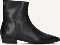 TORAL BELINDA - medium