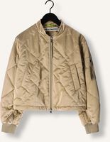 Gouden BEAUMONT Jack GWENN Gouden BEAUMONT Jack GWENN - medium