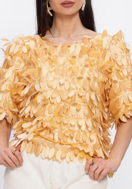 Gele AAIKO Blouses ANGELINA PES 526 - large