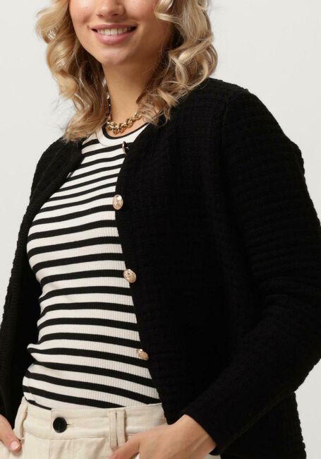 Zwarte NEO NOIR Vest LIMONE KNIT JACKET - large