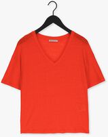 Oranje DRYKORN T-shirt SVENNIE