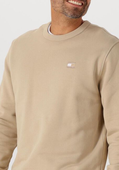Beige TOMMY JEANS Trui TJM REG BADGE CREW EXT - large