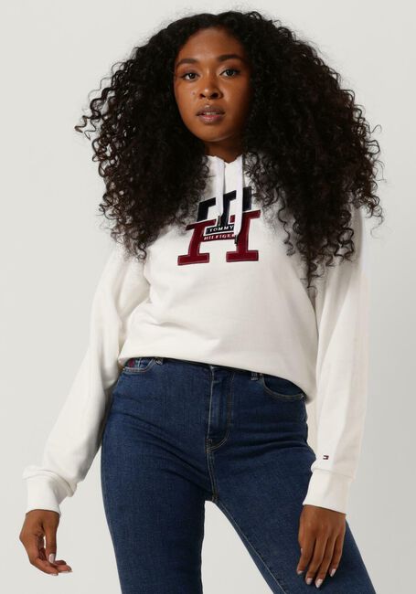 Beige TOMMY HILFIGER Trui LARGE MONOGRAM TH HOODIE - large
