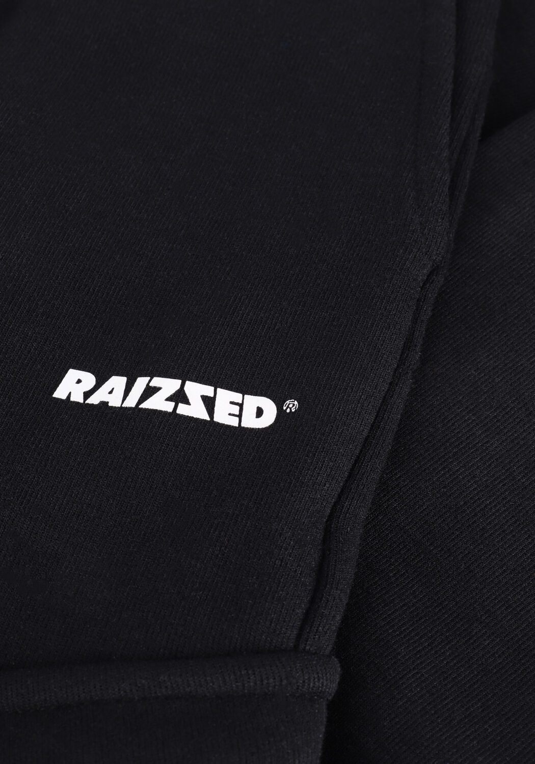 Zwarte RAIZZED Cargobroeken SUMTER - large