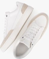 Witte PS POELMAN Lage sneakers LEVI - medium