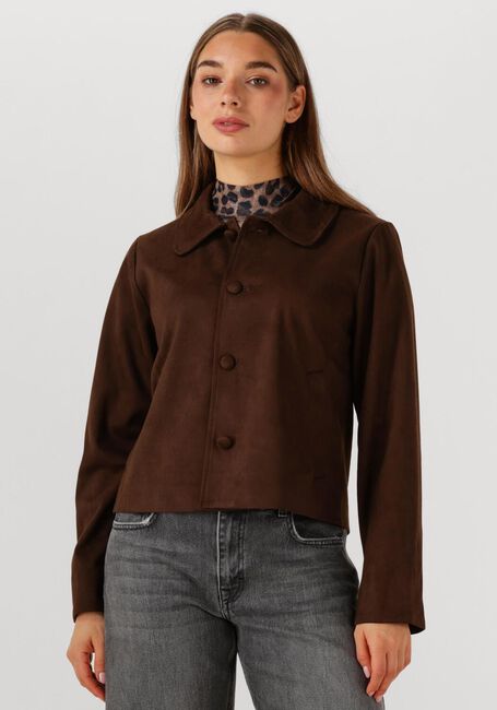 Bruine NEO NOIR Jack NILO SUEDE JACKET - large