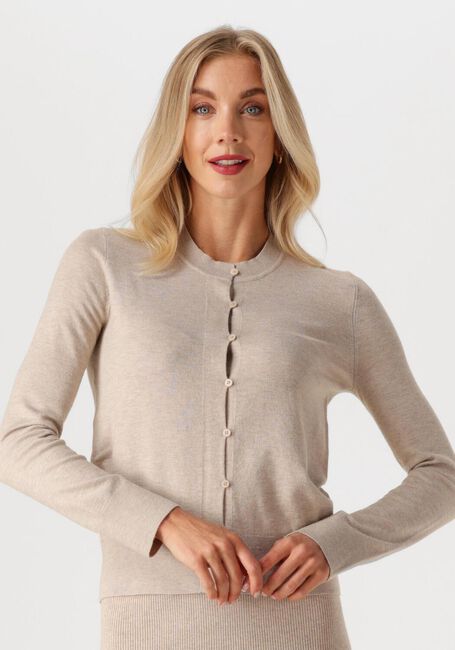 Beige INWEAR Vest KELLSIEIW CARDIGAN - large