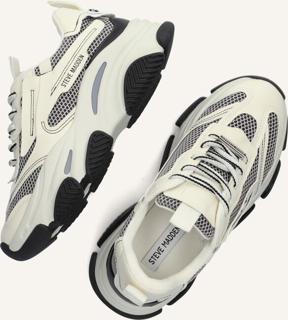 Beige STEVE MADDEN Lage sneakers POSSESSION Beige STEVE MADDEN Lage sneakers POSSESSION - large