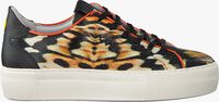 Oranje FLORIS VAN BOMMEL Lage sneakers 85297 - medium