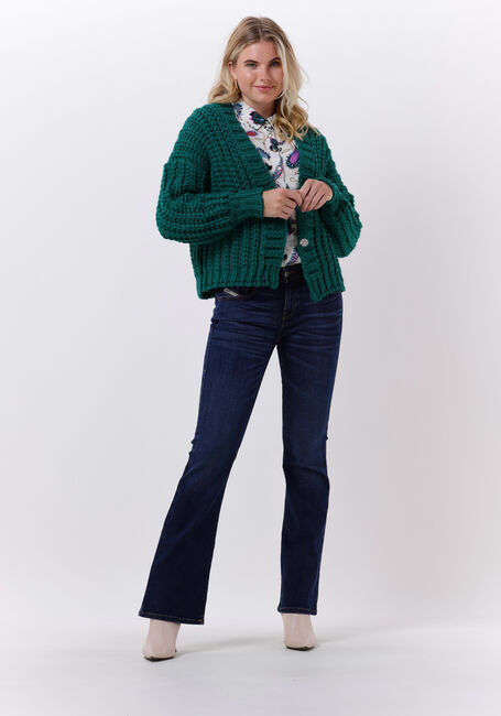Groene POM AMSTERDAM Vest CARDIGAN 6962 - large