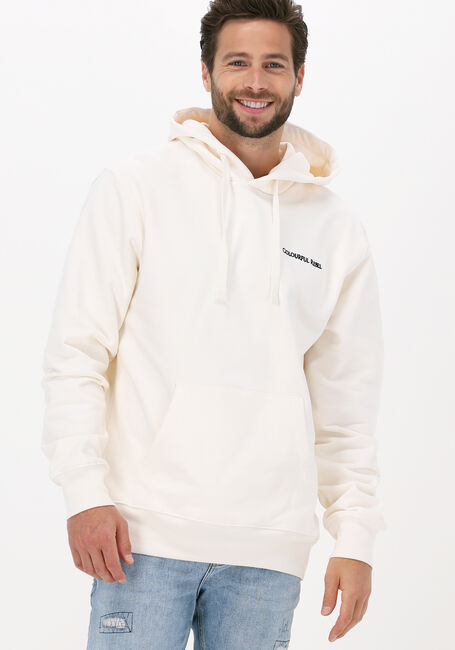 Beige COLOURFUL REBEL Sweater CR EST. 2013 BACK PRINT HOODIE - large