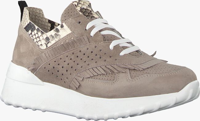 Taupe NOTRE-V Lage sneakers AG283 - large