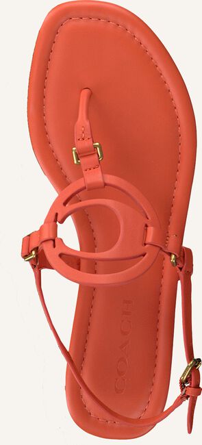 Oranje COACH Sandalen JERI LEATHER SANDAL Oranje COACH Sandalen JERI LEATHER SANDAL - large