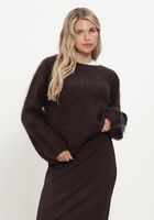 Bruine INWEAR Trui JETRAIW PULLOVER
