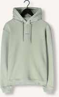 Groene PURE PATH Sweater REGULAR FIT HOODIE LS SWEATERS Groene PURE PATH Sweater REGULAR FIT HOODIE LS SWEATERS - medium