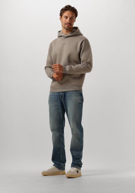 Taupe PURE PATH Truien/vesten LOOSE FIT SWEATERS HOODIE303 - large