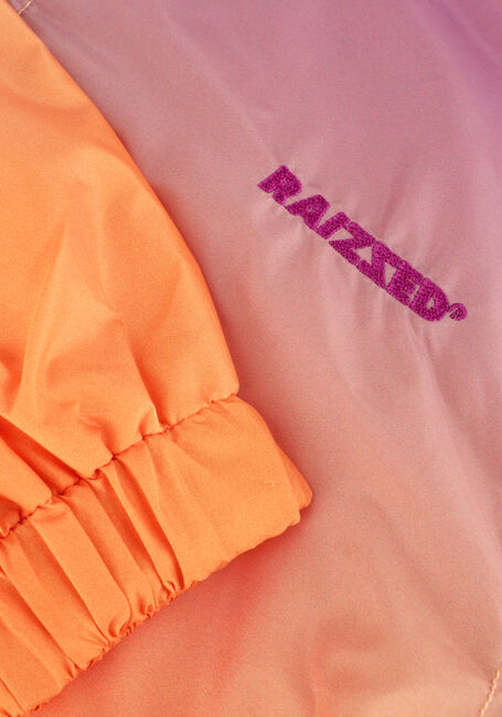 Oranje RAIZZED Jack FELIN - large