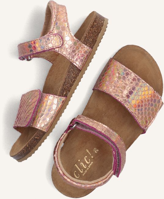 CLIC! CL-GRASS CLIC! CL-GRASS - large